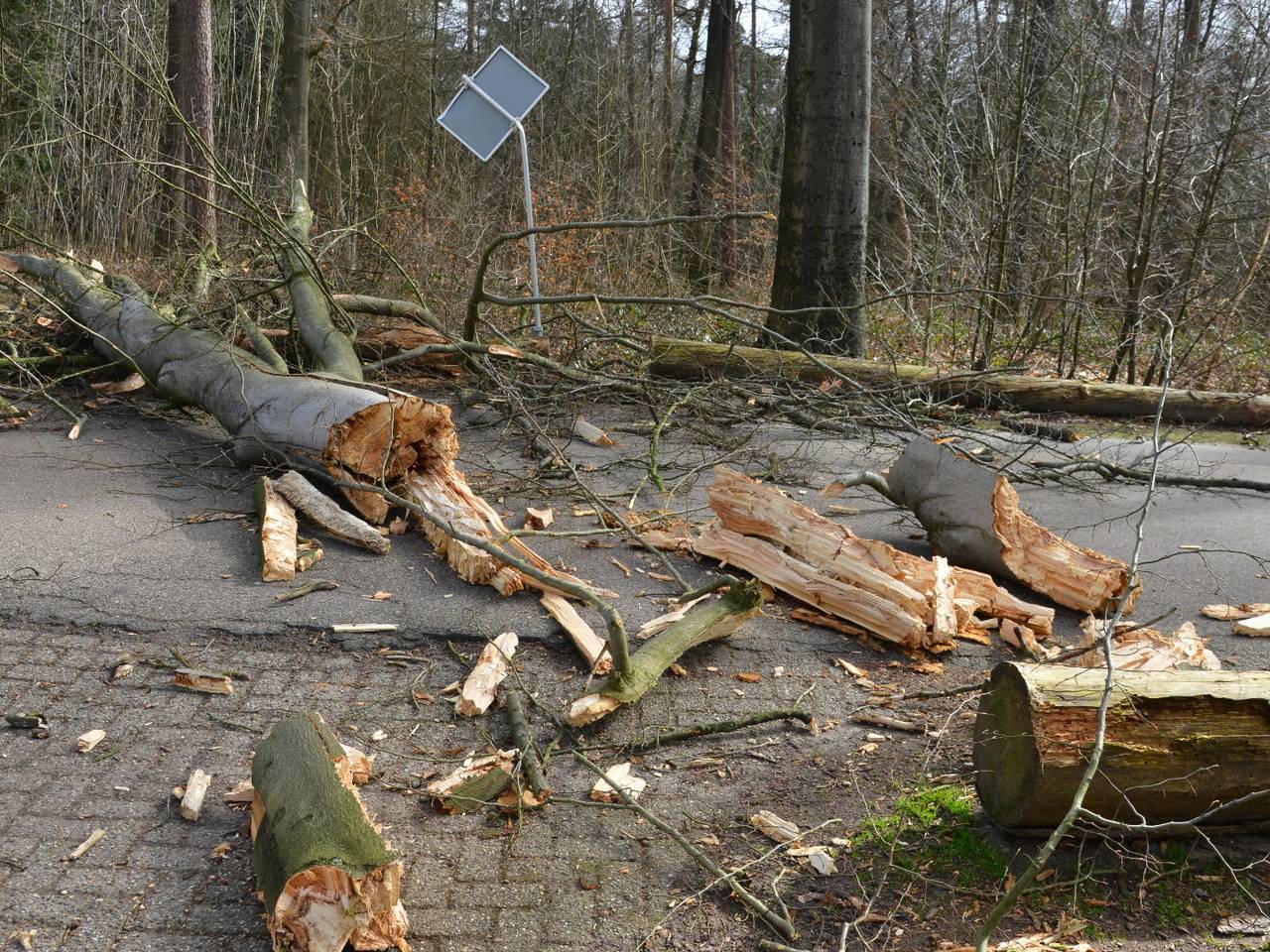 Omroep Brabant