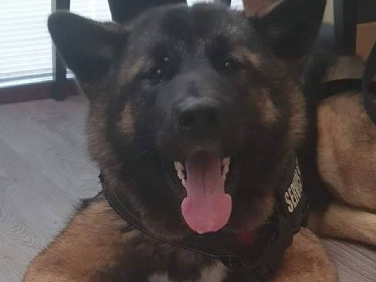 Guerrero is weer veilig thuis. 