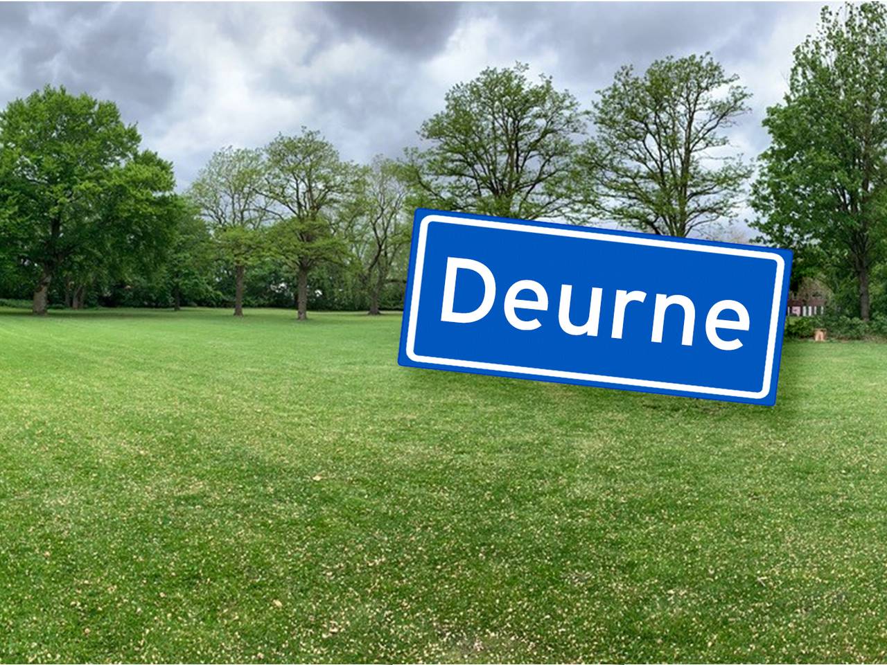 Wandelend over het tuinpad van je vader zie je de hoge bomen staan