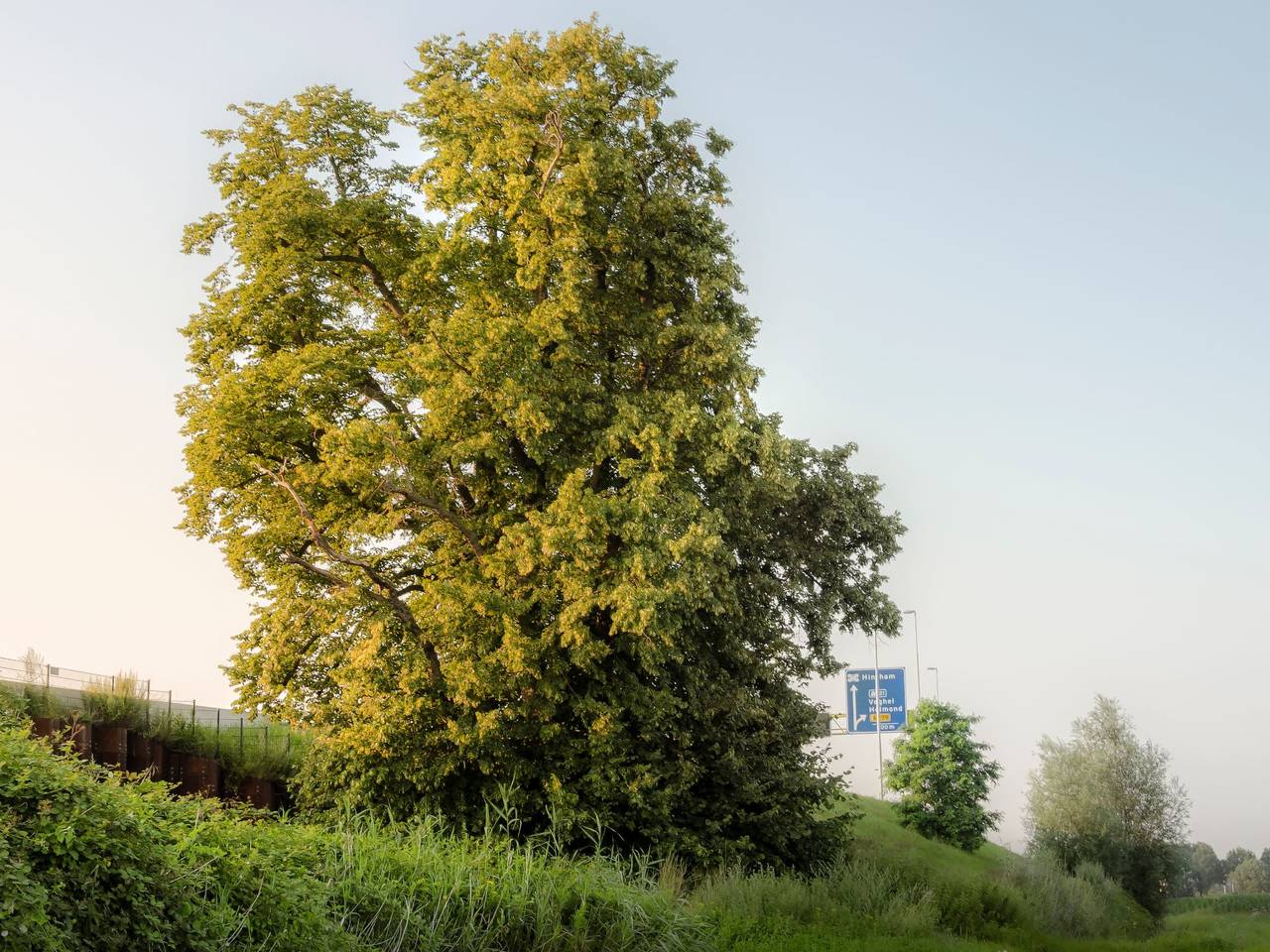 https://api.omroepbrabant.nl/img/f/$width$/$height$/0.5/0.5/bWVkaWEvcHJvZC8zNjAyMjQyLmpwZz9zdj0yMDE5LTA3LTA3JnN0PTIwMjAtMDEtMDFUMDAlM0EwMCUzQTAwWiZzZT0yMDQwLTAxLTAxVDAwJTNBMDAlM0EwMFomc3I9YiZzcD1yJnNpZz1DJTJCVzBjdEEzOVRuNjAlMkZoV0tVS2M2UndZMGVLaFpwRjhBMFcxQkhpclZ5ayUzRA==