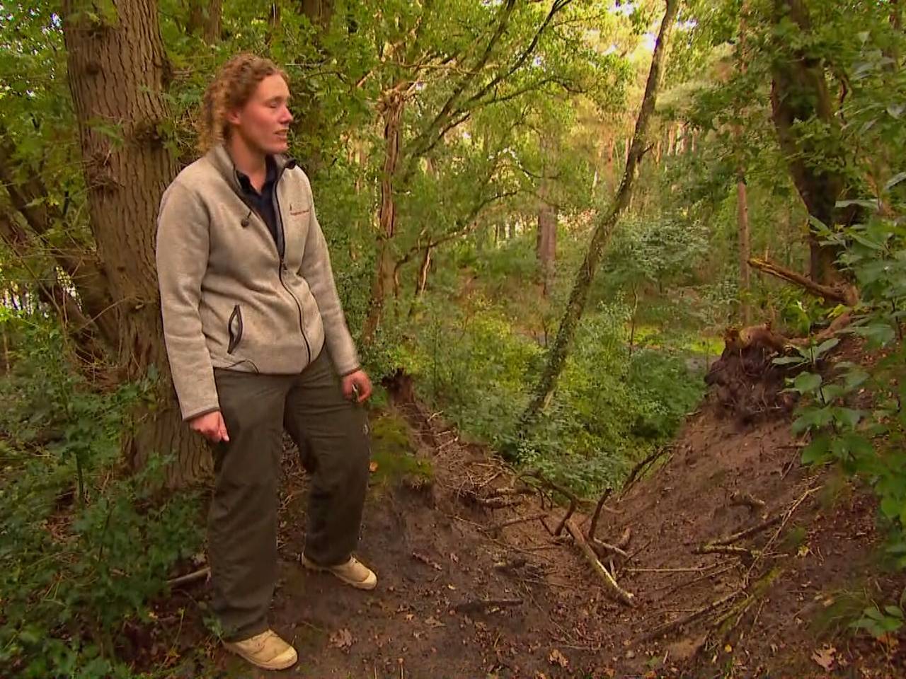 Historische eikenwal bij Alphen lijdt onder mountainbikers en wandelaars