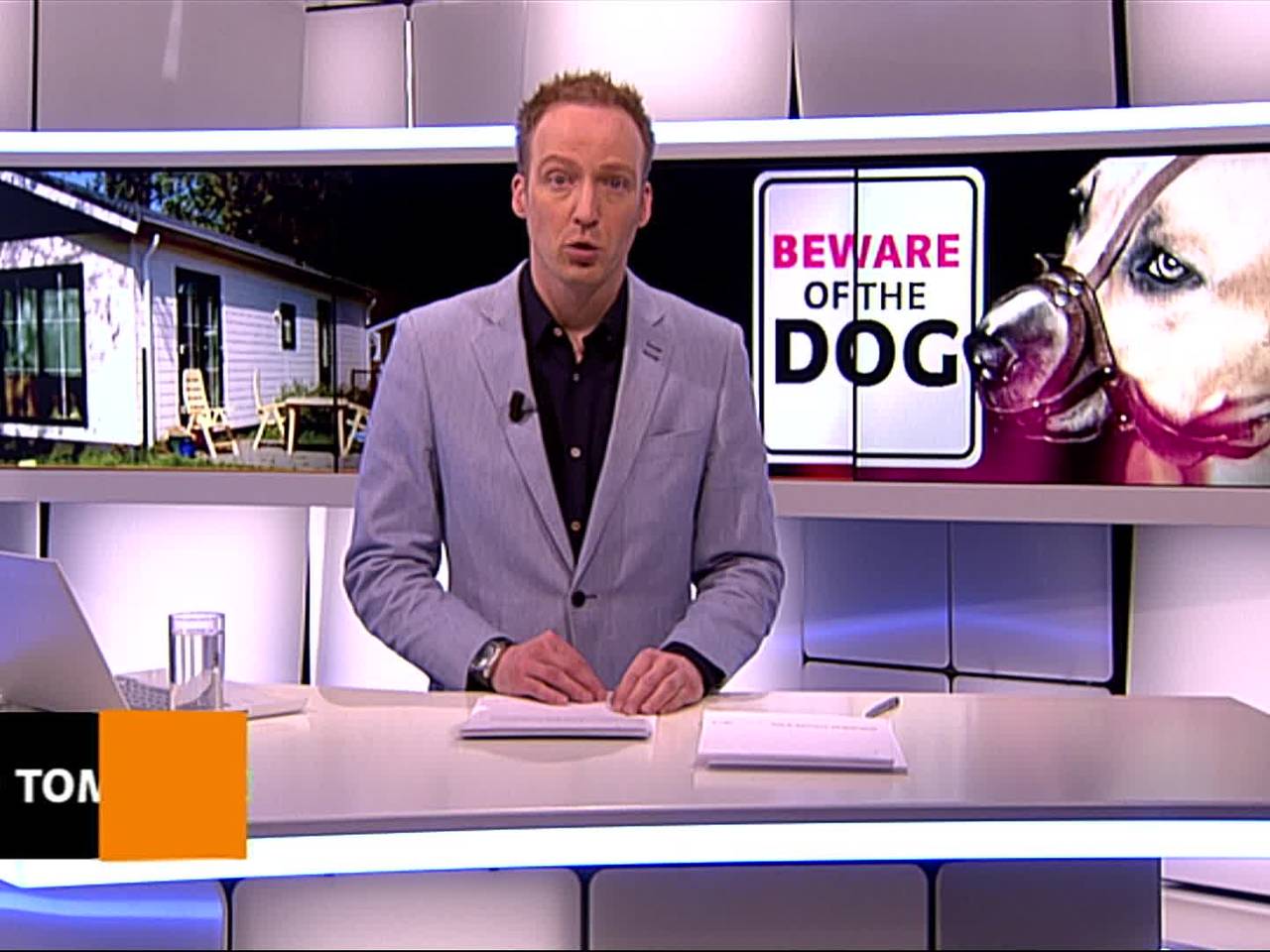 Meisje (6) in levensgevaar na aanval door Staffordshireterriër in Schijndel