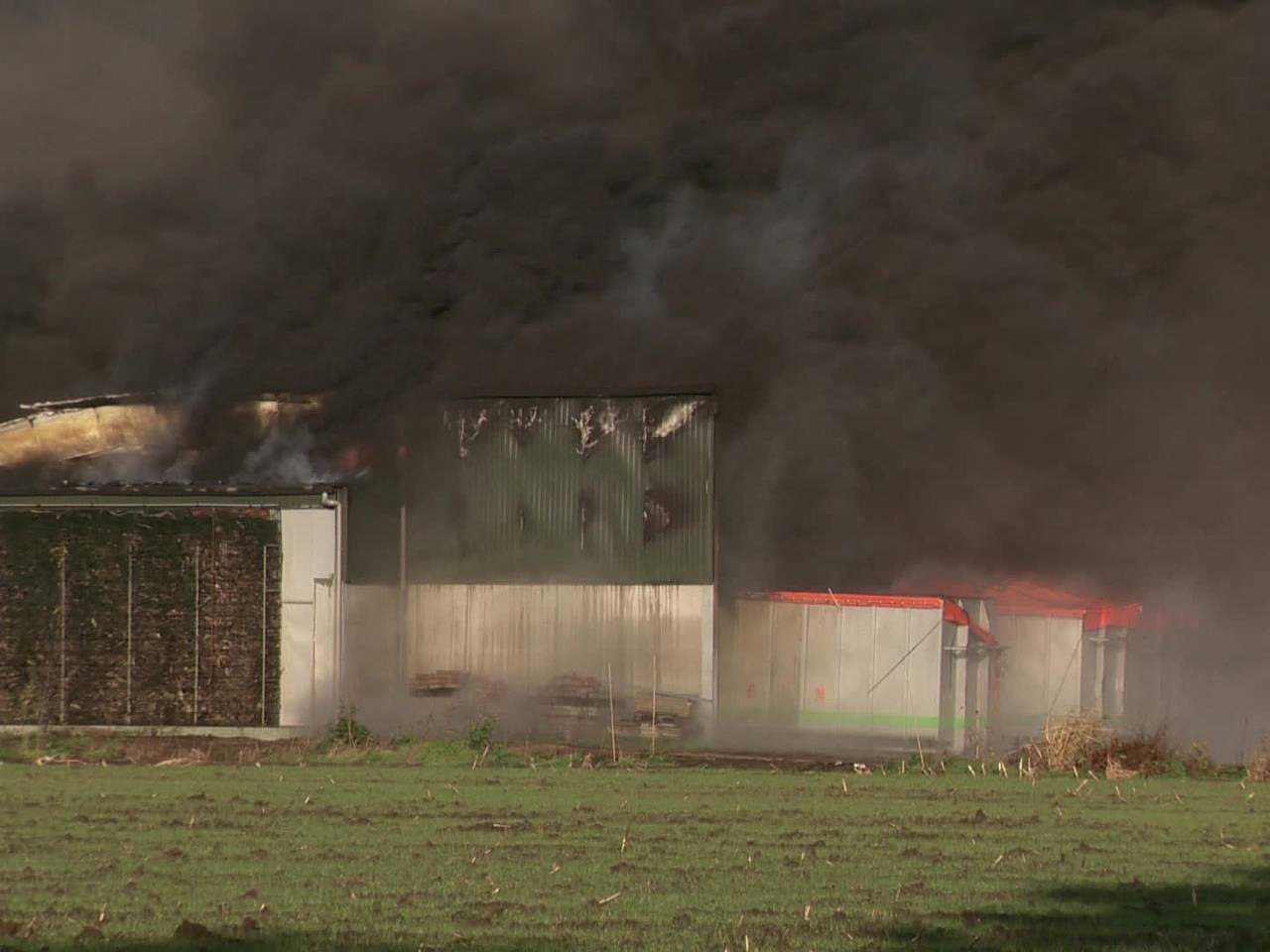 Brand verwoest loods varkensbedrijf Oirschot