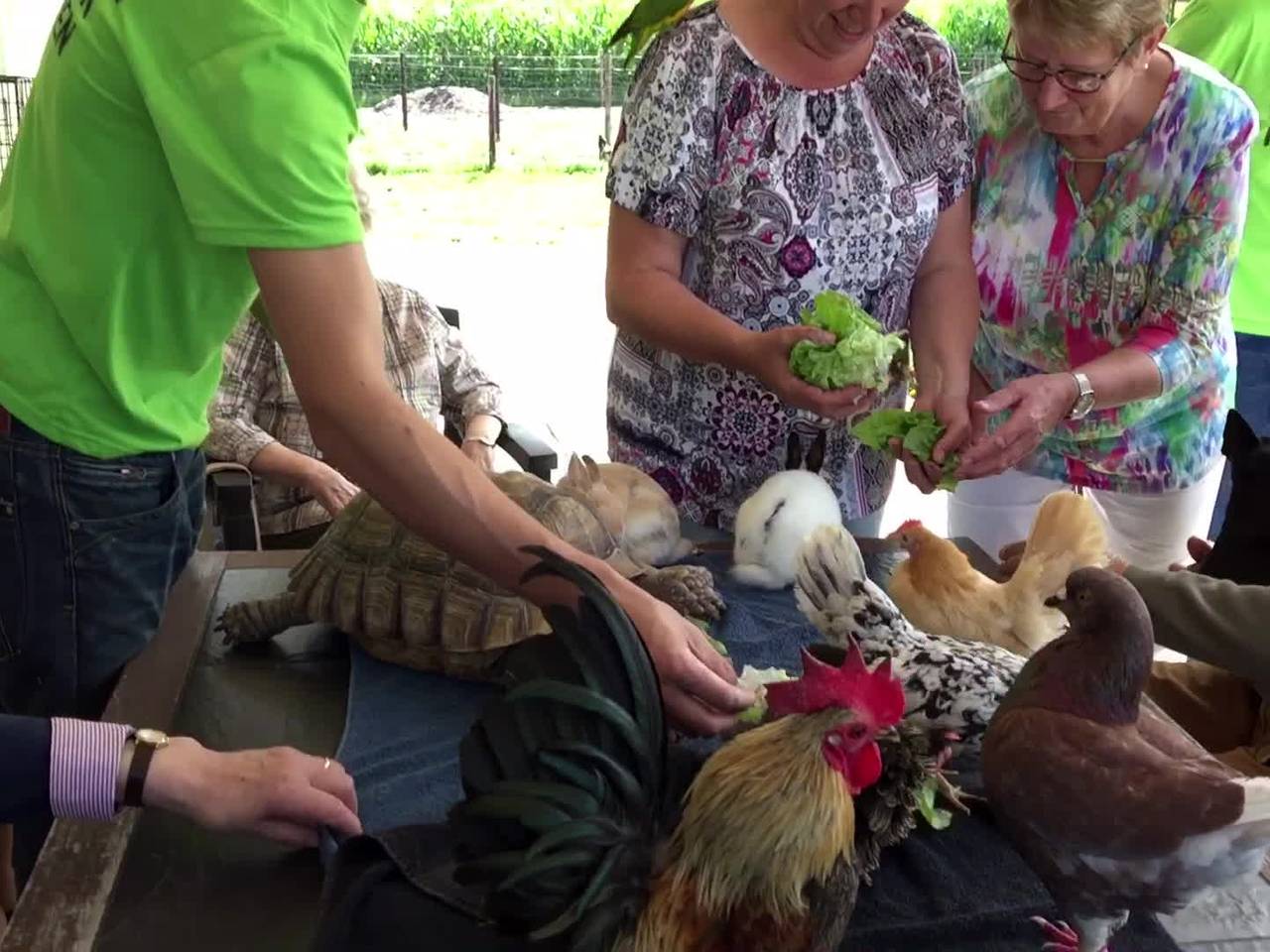 Knuffelen met dieren