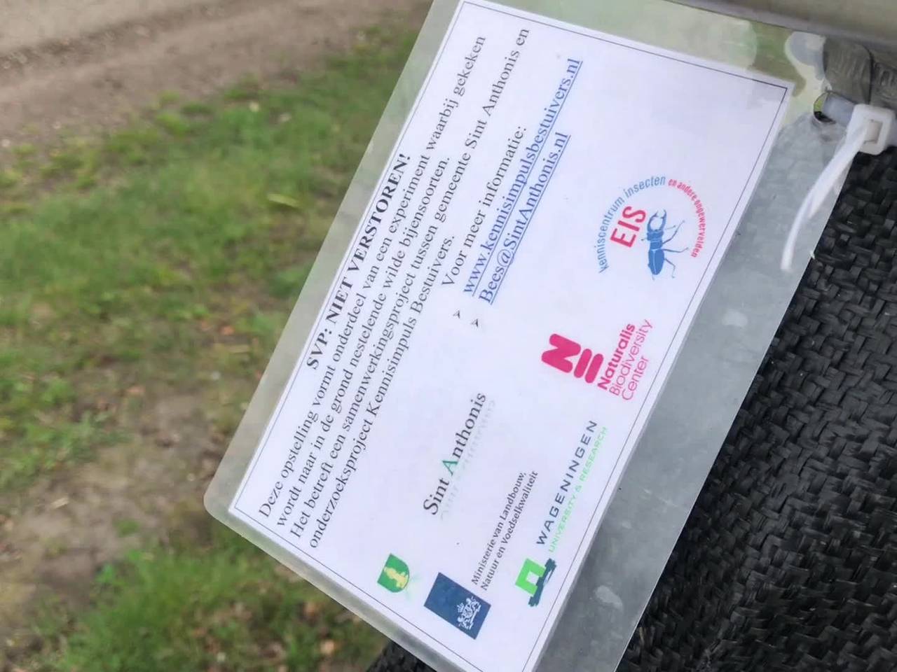 De tentjes voor bijen in het buitengebied van Sint Anthonis