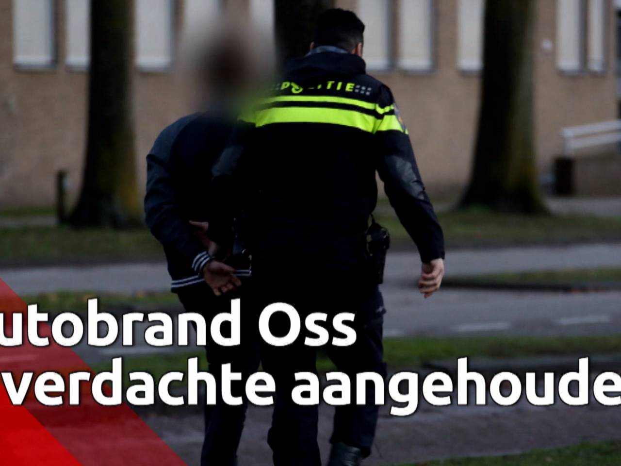 Man aangehouden na autobrand in Oss
