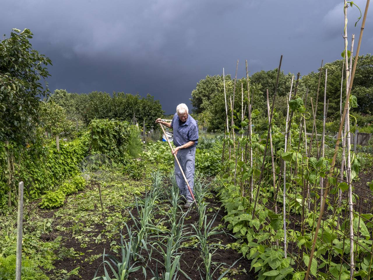 De twee mannen kenden elkaar van de volkstuin. (Archieffoto: ANP).