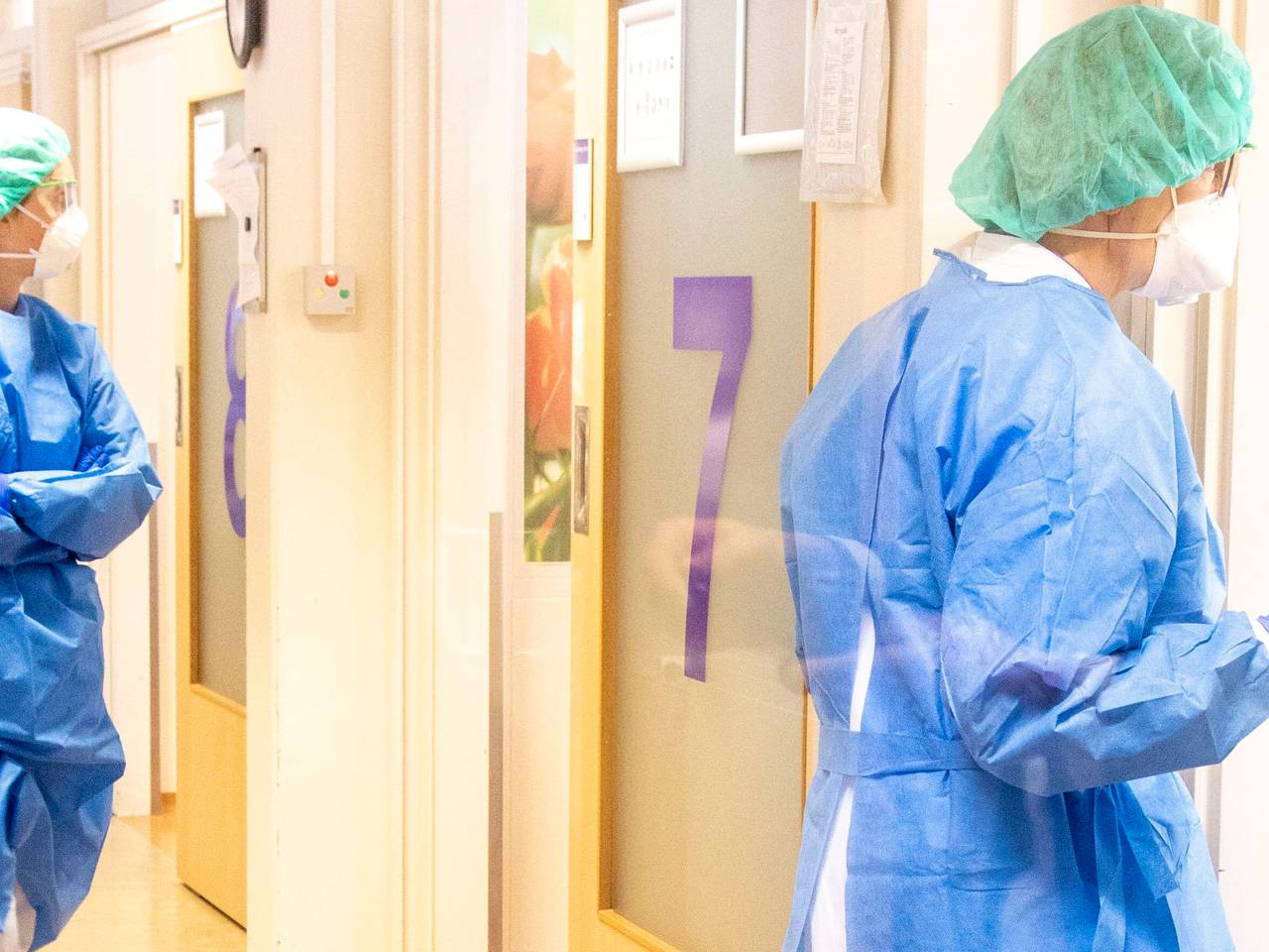 Foto Pauline Jongenelen