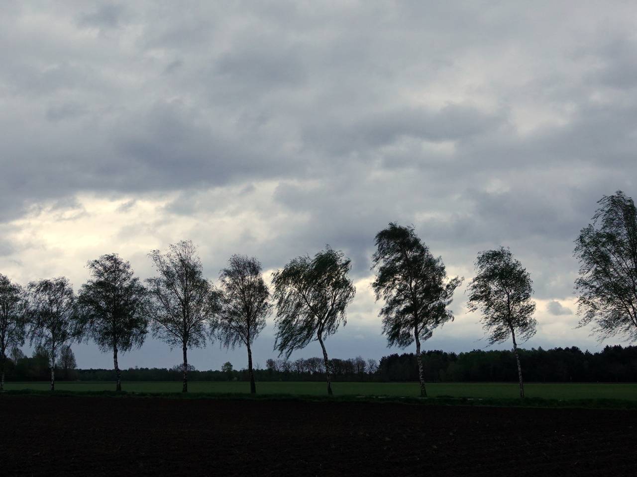https://api.omroepbrabant.nl/img/f/$width$/$height$/0.50/0.50/cmV2aXNpb25zLzMzODMzMjEtMS5qcGc_c2U9MjA0NS0wMS0wMVQxMCUzQTQwJTNBMDBaJnNpZz1ISnBndTFYOVB2YjcxN2ExWjVLdUE1QXNWNiUyQk1SYUIlMkIzYVc1WlBrQnZDUSUzRCZzcD1yJnNwcj1odHRwcyZzcj1iJnN0PTIwMjUtMDEtMDFUMTAlM0E0MCUzQTAwWiZzdj0yMDI2LTA2LTA2