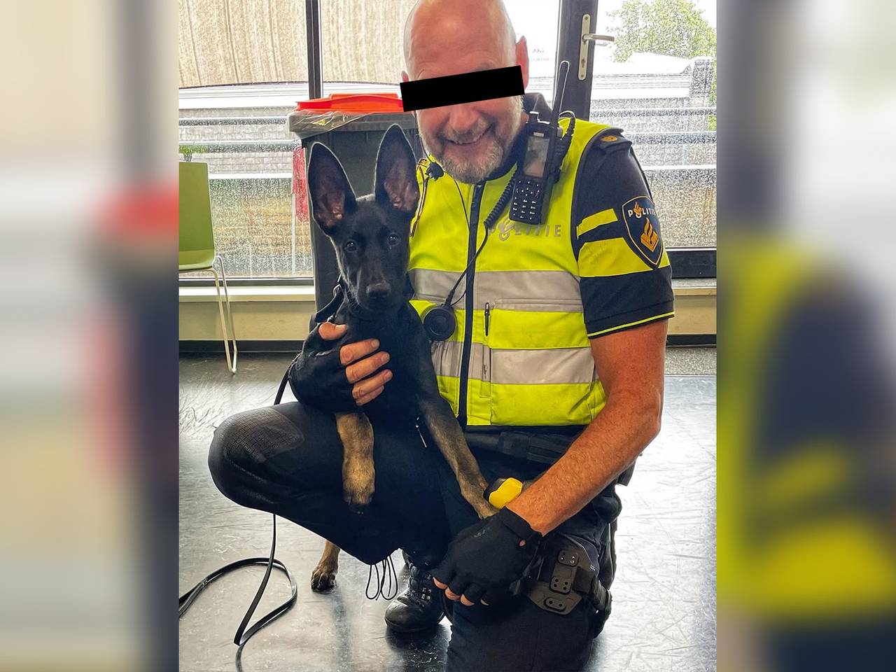 https://api.omroepbrabant.nl/img/f/$width$/$height$/0.50/0.50/cmV2aXNpb25zLzQ4NDEyMDktMS5qcGc_c2U9MjA0NS0wMS0wMVQxMCUzQTQwJTNBMDBaJnNpZz12OEIyVWRJMlFnTzhTdXptQjdSNjA1Z3JOSWpLZjdya0d1NUxHdFJ3TkNrJTNEJnNwPXImc3ByPWh0dHBzJnNyPWImc3Q9MjAyNS0wMS0wMVQxMCUzQTQwJTNBMDBaJnN2PTIwMjYtMDItMDY=
