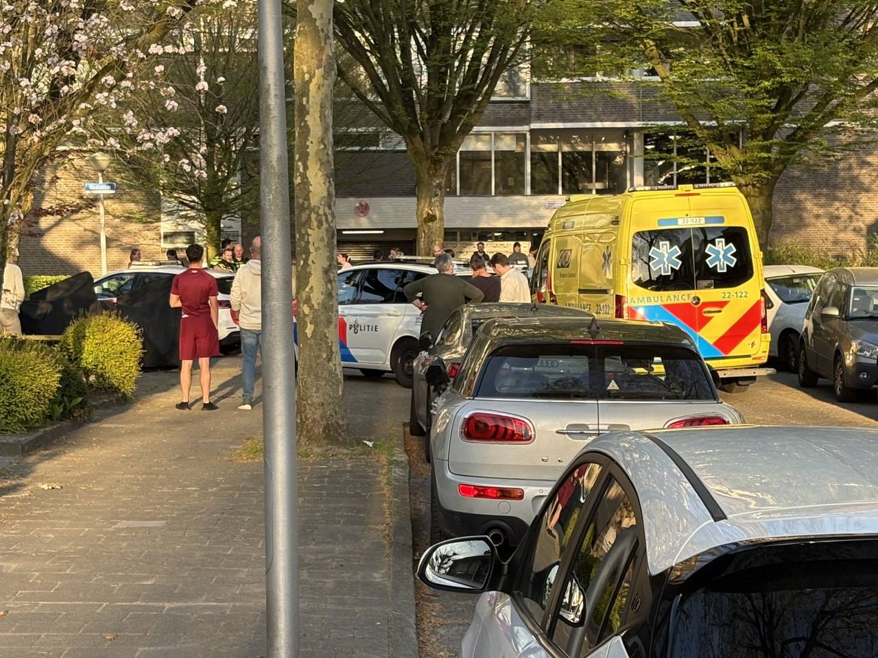 https://api.omroepbrabant.nl/img/f/$width$/$height$/0.50/0.50/cmV2aXNpb25zLzQ4NzY4MDctMS5qcGc_c2U9MjA0NS0wMS0wMVQxMCUzQTQwJTNBMDBaJnNpZz1pcm9LODNQVjY4UkttMGRmd2VRTTZIYzR3M01YVFdVJTJGa2lVUG1teVJNOGMlM0Qmc3A9ciZzcHI9aHR0cHMmc3I9YiZzdD0yMDI1LTAxLTAxVDEwJTNBNDAlM0EwMFomc3Y9MjAyMC0xMC0wMg==