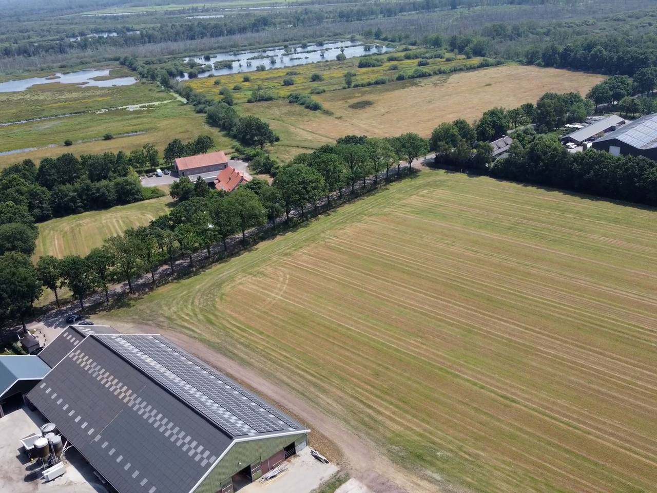 https://api.omroepbrabant.nl/img/f/$width$/$height$/0.50/0.50/cmV2aXNpb25zLzQ5MjQ2MzEtMS5qcGc_c2U9MjA0NS0wMS0wMVQxMCUzQTQwJTNBMDBaJnNpZz1seG5xJTJGZ1VlMllPRmZ5ZlRJSlJpVVJFUWslMkZRVUNMOHVKeVl4anFNV0RJUSUzRCZzcD1yJnNwcj1odHRwcyZzcj1iJnN0PTIwMjUtMDEtMDFUMTAlM0E0MCUzQTAwWiZzdj0yMDI2LTAyLTA2