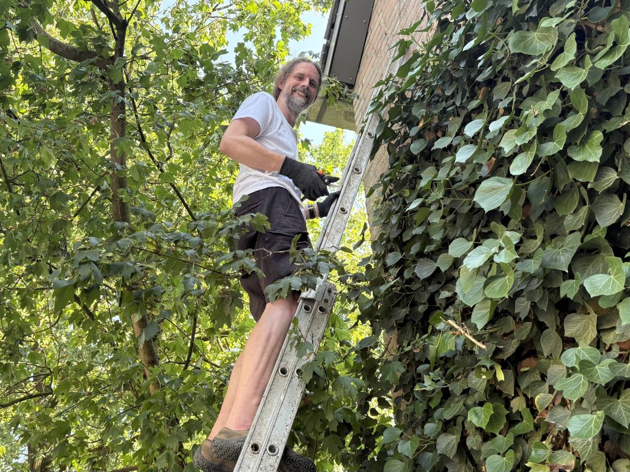 https://api.omroepbrabant.nl/img/f/$width$/$height$/0.50/0.50/cmV2aXNpb25zLzQ5MjUzMDMtMS5qcGc_c2U9MjA0NS0wMS0wMVQxMCUzQTQwJTNBMDBaJnNpZz1jVVVPVDIlMkJBOGE3TW8wTkdhaXV1SnlVQ0lEeW9uQm1CaUM0SzI2bXA4SVUlM0Qmc3A9ciZzcHI9aHR0cHMmc3I9YiZzdD0yMDI1LTAxLTAxVDEwJTNBNDAlM0EwMFomc3Y9MjAyNi0wMi0wNg==