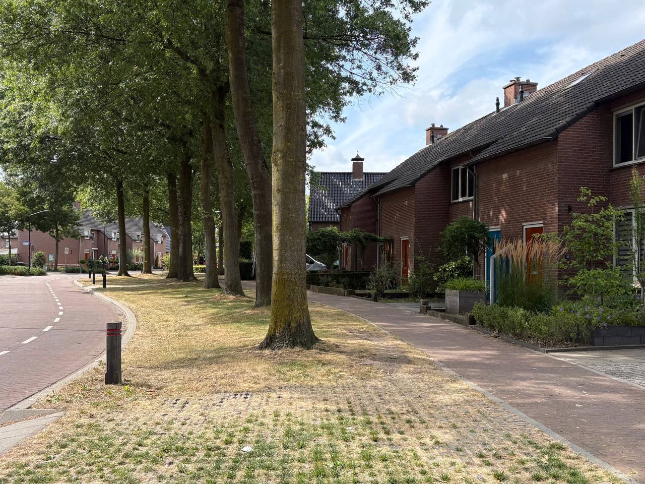 https://api.omroepbrabant.nl/img/f/$width$/$height$/0.50/0.50/cmV2aXNpb25zLzQ5MzkxOTUtMS5qcGc_c2U9MjA0NS0wMS0wMVQxMCUzQTQwJTNBMDBaJnNpZz1OS3BCaEZoUWZrd2VEWlprRGZaSEpIZGUlMkJOYyUyQnpPajh6bDA5QjhwYXdOTSUzRCZzcD1yJnNwcj1odHRwcyZzcj1iJnN0PTIwMjUtMDEtMDFUMTAlM0E0MCUzQTAwWiZzdj0yMDI2LTAyLTA2