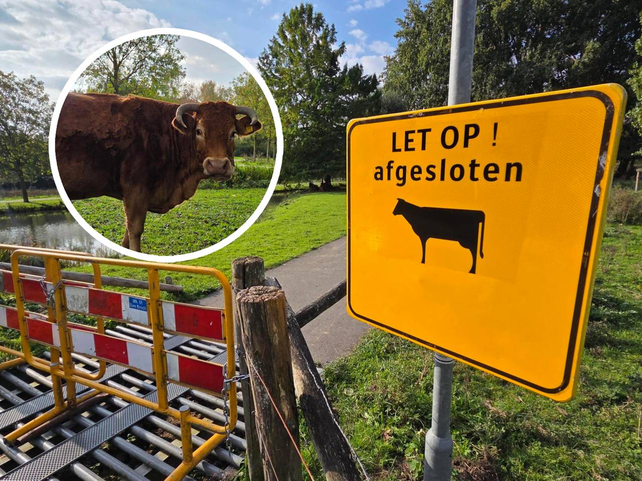 https://api.omroepbrabant.nl/img/f/$width$/$height$/0.50/0.50/cmV2aXNpb25zLzQ5OTA1OTAtMS5qcGc_c2U9MjA0NS0wMS0wMVQxMCUzQTQwJTNBMDBaJnNpZz1IbWJwQ2l5R0piQWJxT3d4VXRxVGtZRlRXQ3F0aWJXdkM0OFhYejVvS1BFJTNEJnNwPXImc3ByPWh0dHBzJnNyPWImc3Q9MjAyNS0wMS0wMVQxMCUzQTQwJTNBMDBaJnN2PTIwMjYtMDYtMDY=