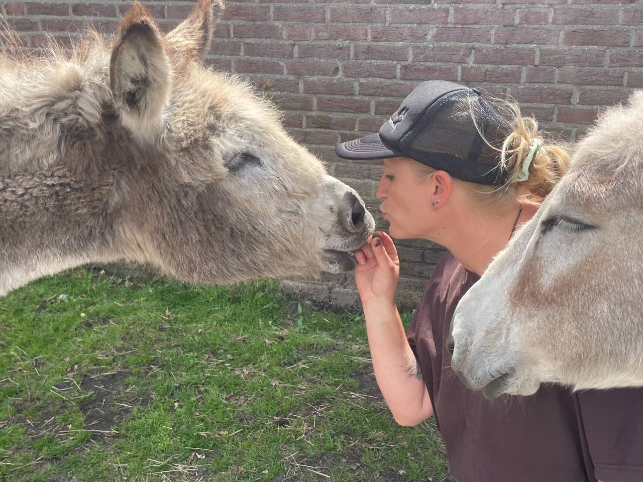 Alice van der Plas