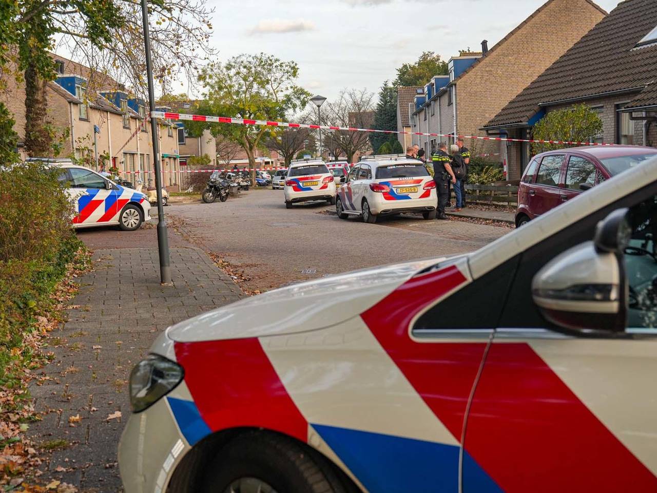 Foto: Harrie Grijseels/SQ Vision.