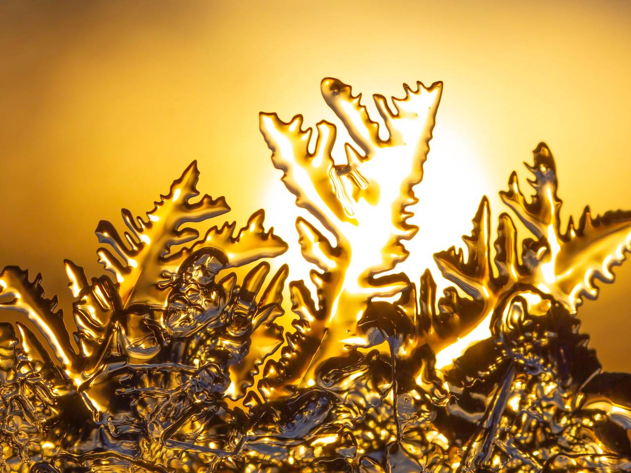 Archieffoto: Ab Donker