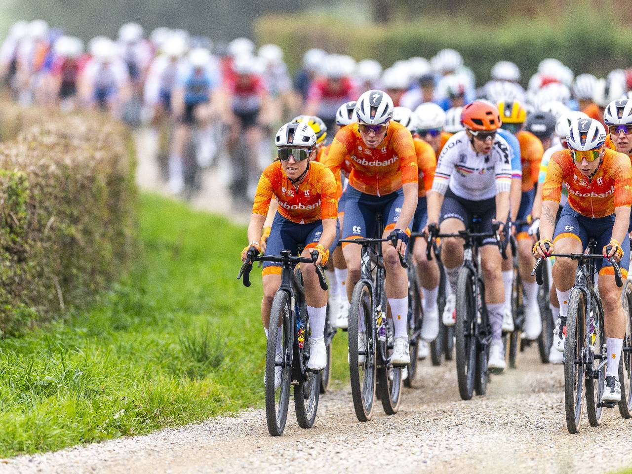 Het peloton tijdens het WK Gravel (foto: ANP, Marcel van Hoorn).