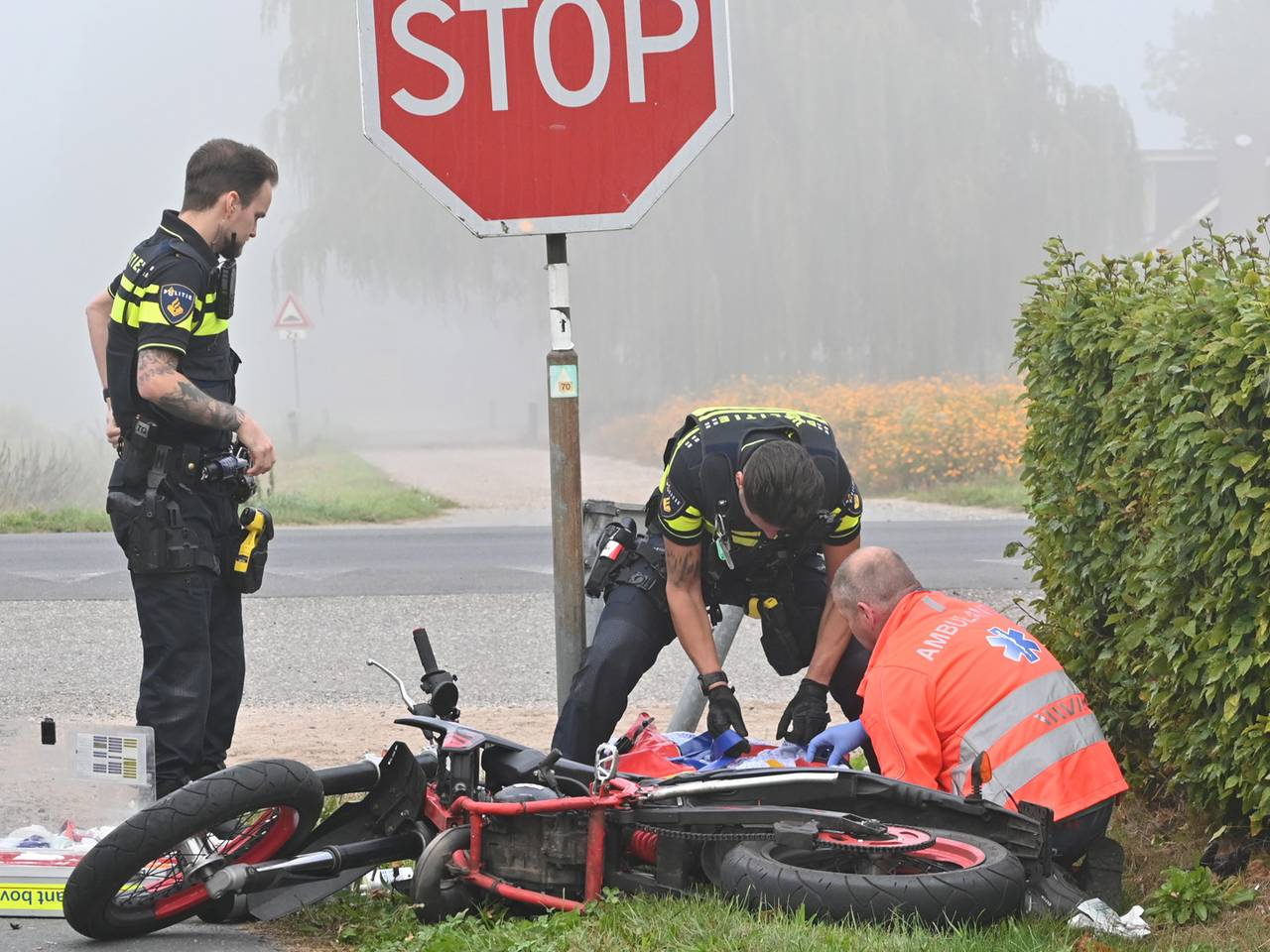 web_112_rijsbergen.transfer