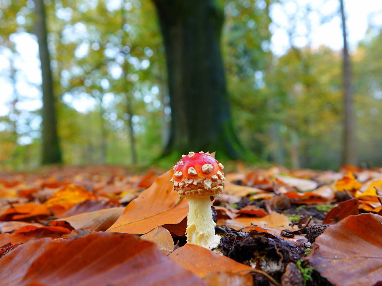 https://api.omroepbrabant.nl/img/f/$width$/$height$/0.52/0.59/bWVkaWEvcHJvZC80MzY1OTAxLmpwZz9zdj0yMDE5LTA3LTA3JnN0PTIwMjAtMDEtMDFUMDAlM0EwMCUzQTAwWiZzZT0yMDQwLTAxLTAxVDAwJTNBMDAlM0EwMFomc3I9YiZzcD1yJnNpZz1SUHY5QkdFWEY5dDZxTVR2MU9zdERqMjlwVFR1R09Wd0R4a1BZVURIMkI0JTNE