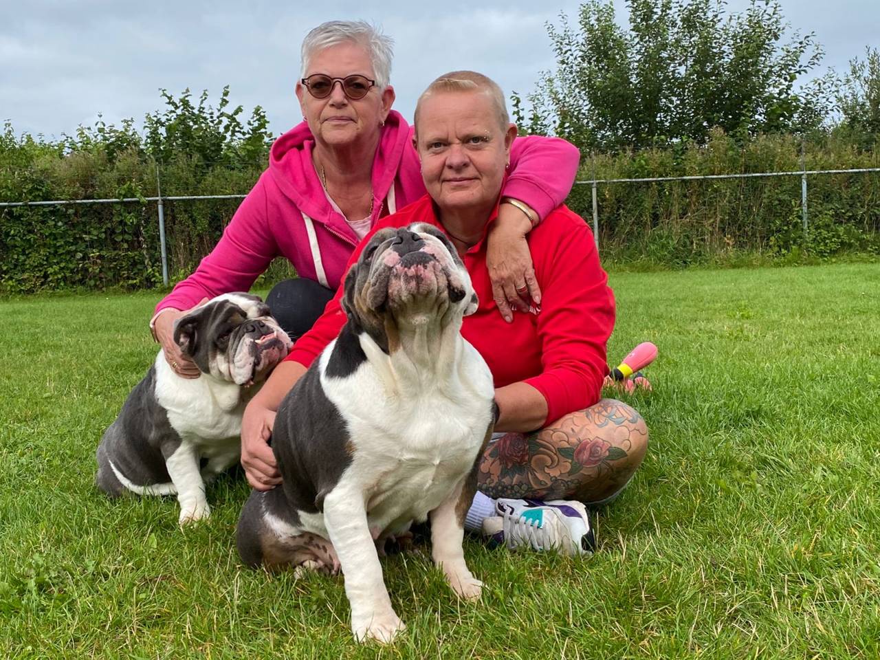  Bulldogs vieren International Dog Day met vis: 'Dit is een vijfsterren B&B'