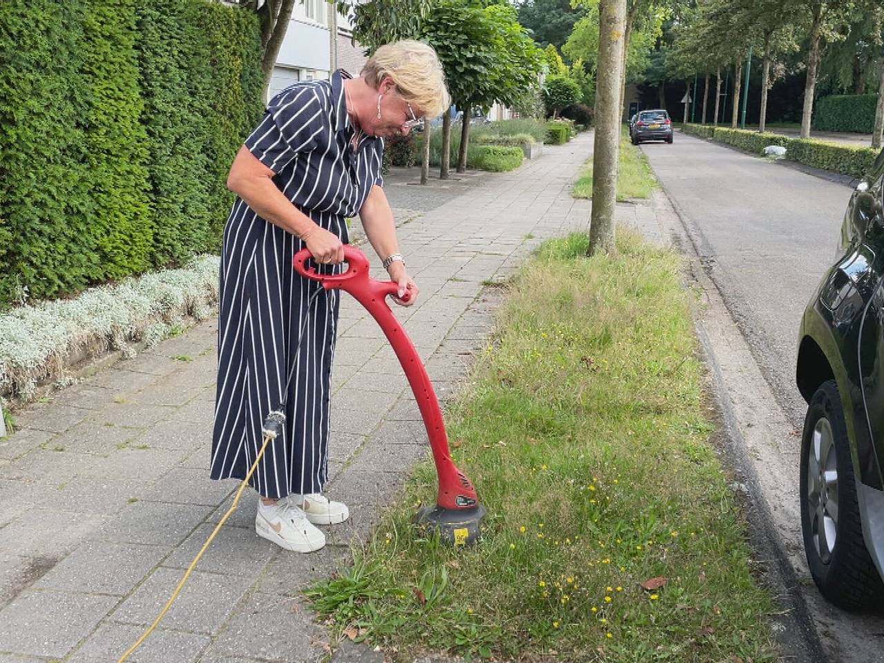 Omroep Brabant
