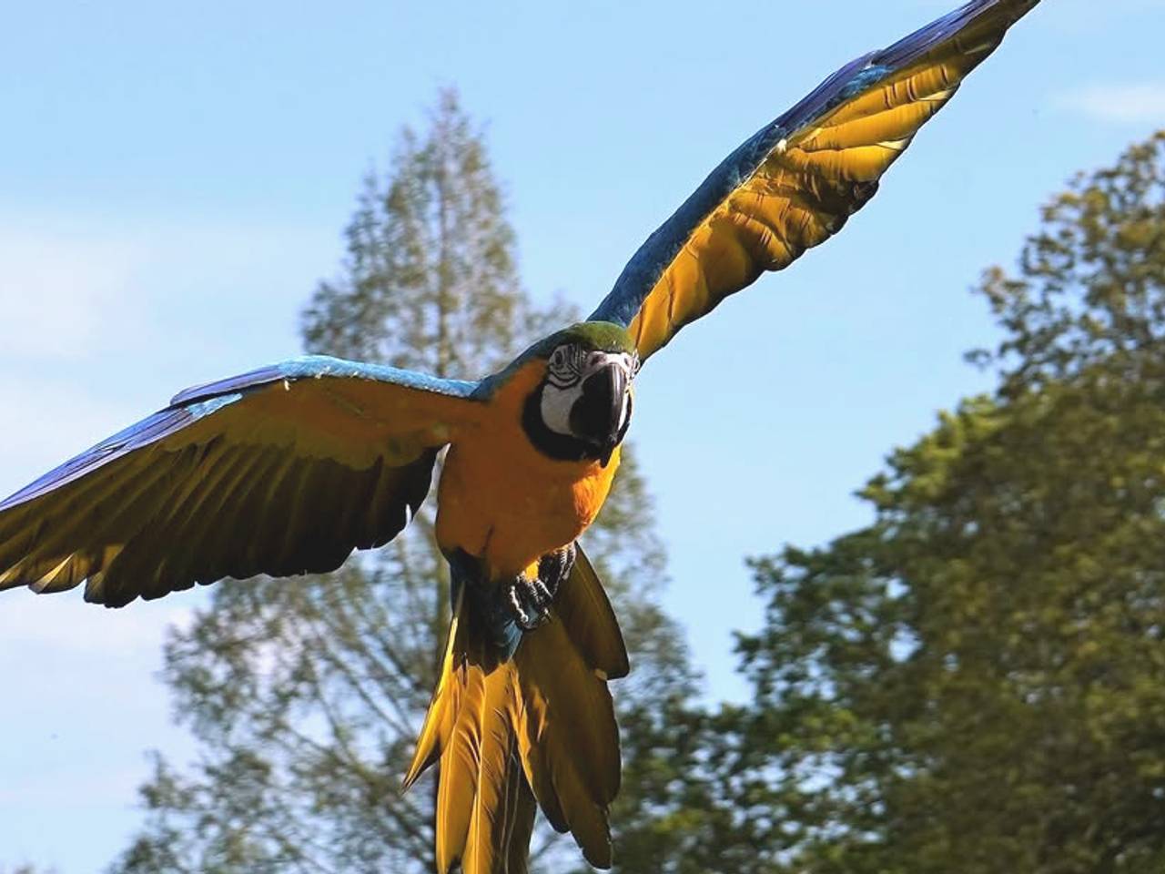 https://api.omroepbrabant.nl/img/f/$width$/$height$/0.54/0.47/bWVkaWEvcHJvZC80NzMwMzcwLmpwZz9zdj0yMDE5LTA3LTA3JnN0PTIwMjAtMDEtMDFUMDAlM0EwMCUzQTAwWiZzZT0yMDQwLTAxLTAxVDAwJTNBMDAlM0EwMFomc3I9YiZzcD1yJnNpZz1YM3ZxZVczTVdHa2RRenhYZ3QlMkZBb0hKJTJCZkpaVEJWSkEyeGh2dzE1WVVWNCUzRA==