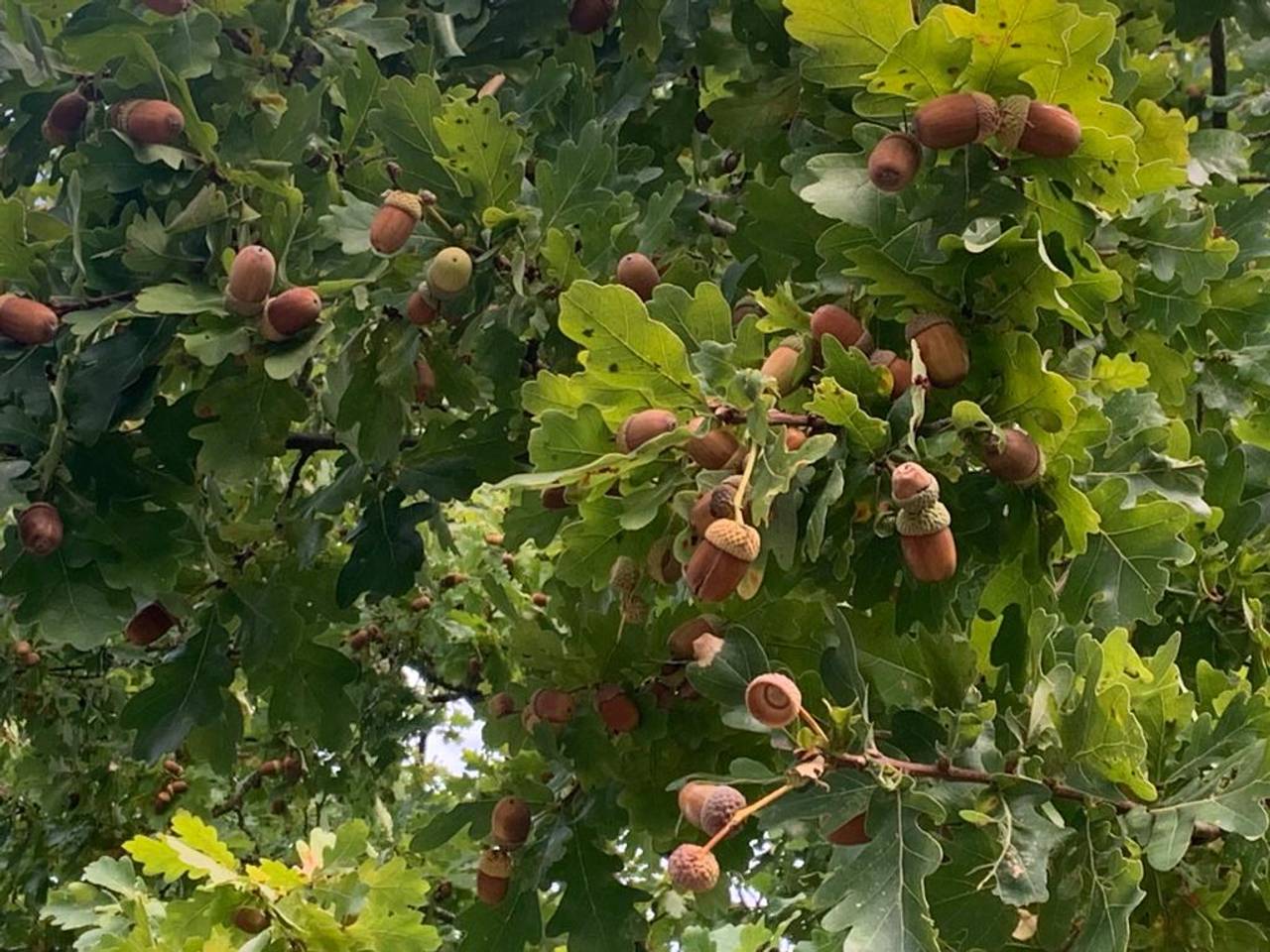 Foto: Martha Kivits.