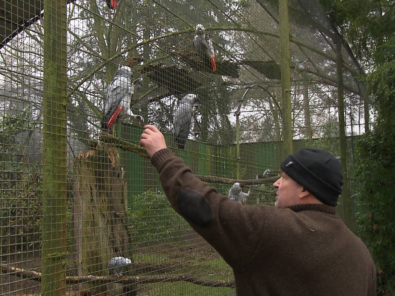 Zoo Veldhoven te koop, dit krijg je voor vijf miljoen euro