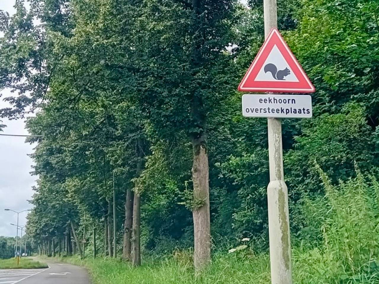 Dit waarschuwingsbord aan de Willem Dreesweg in Roosendaal is gestolen (foto: Omroep Brabant).