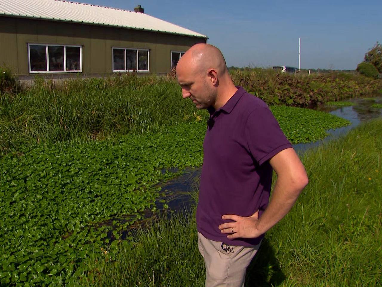 Waternavel zorgt voor grote problemen