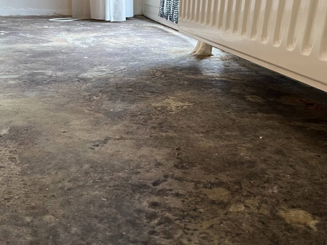 Schimmelplekken op de vloer van de woning (foto: Omroep Brabant).