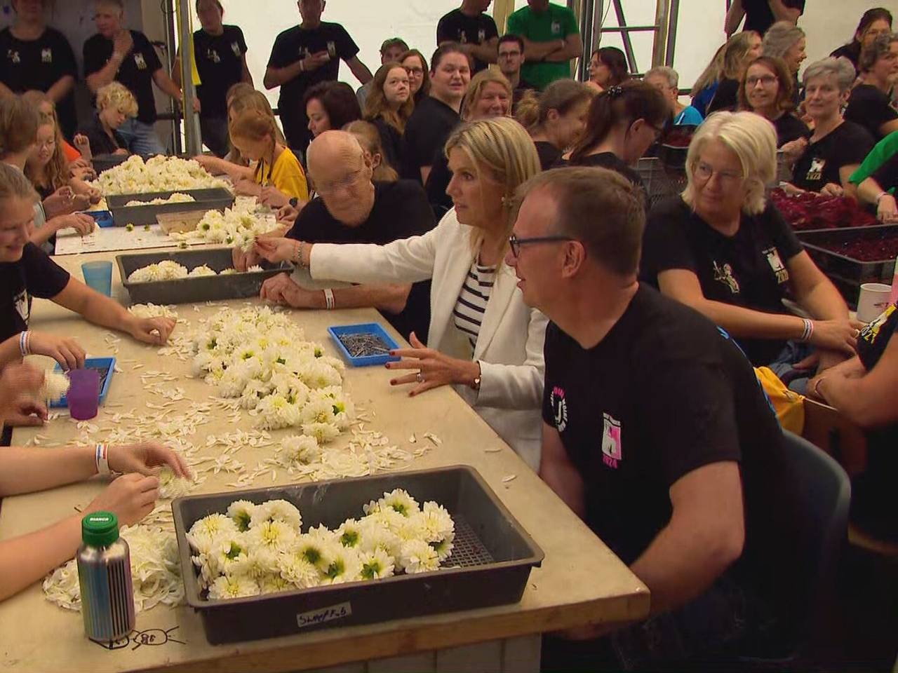 web_hor_bloemencorso.Copy.01.transfer