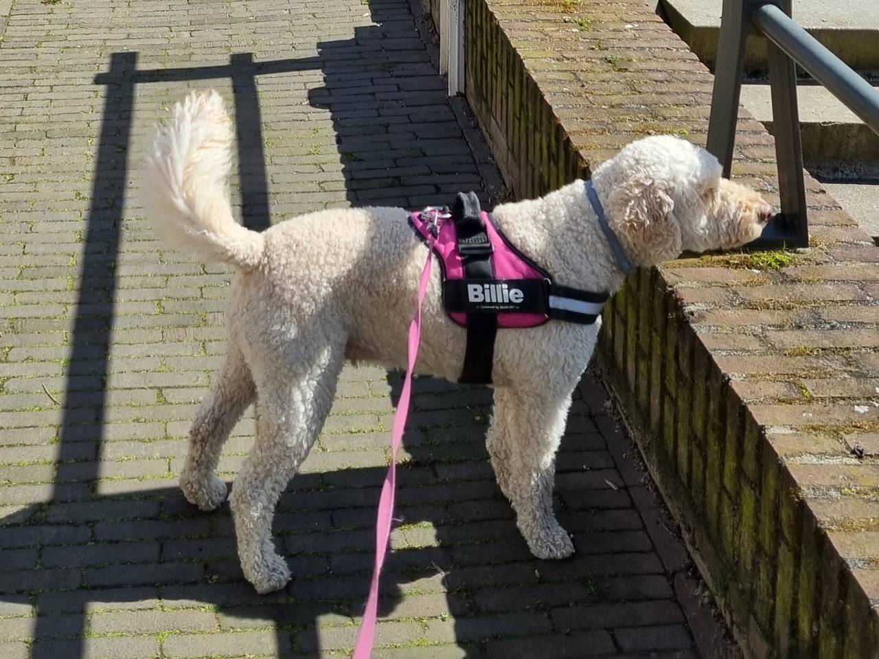 Omroep Brabant