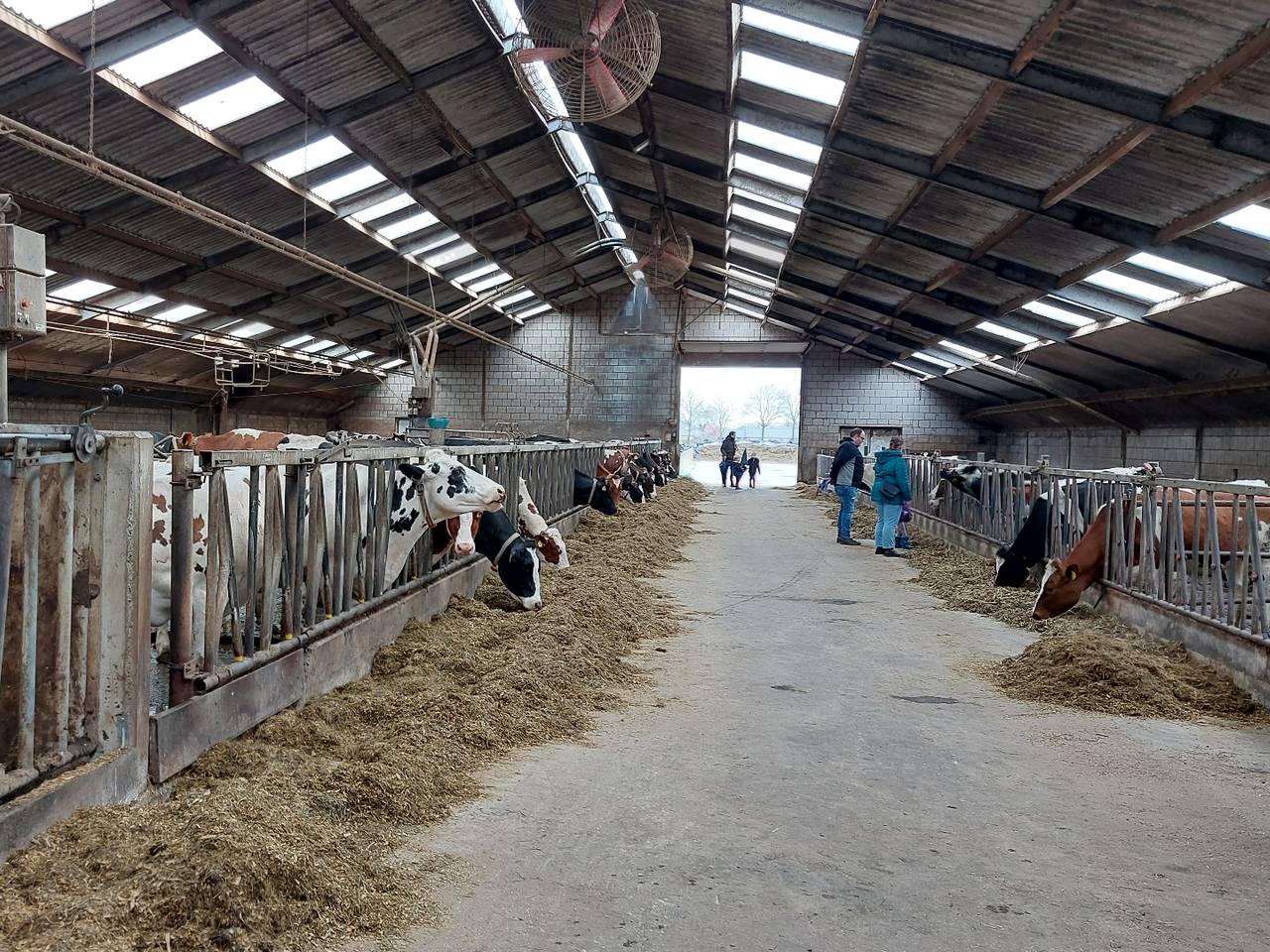 Omroep Brabant