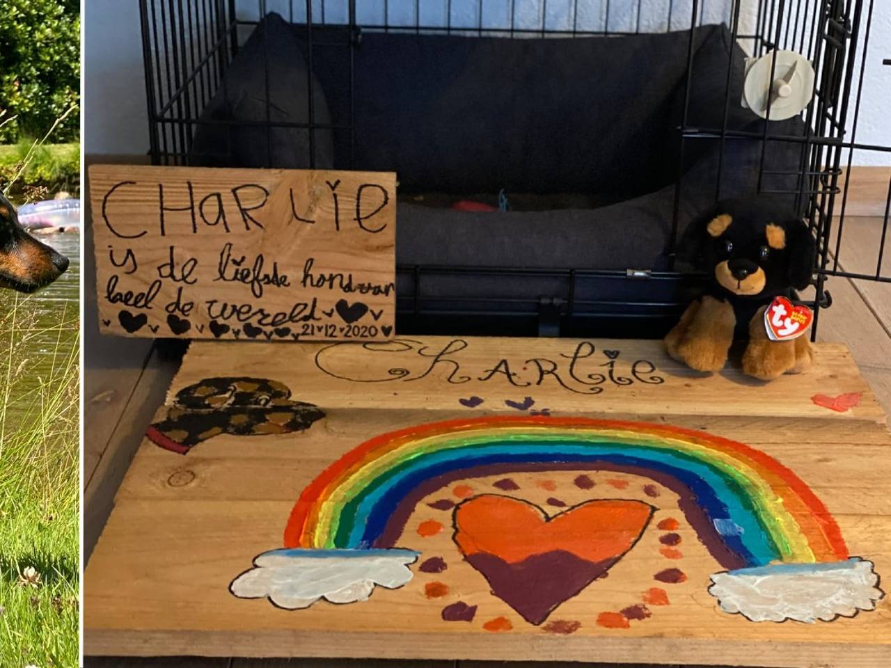 Charlie en het beschilderde deksel voor zijn kist. 