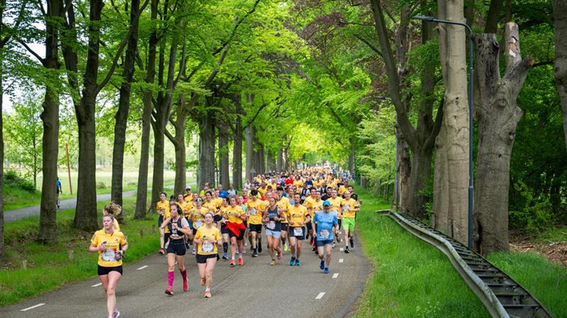 Een grote groep mensen is aan het hardlopen door het bos