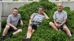 Werner Toonen (l) met zijn collega's van de Taxus Taxi (Foto: Taxus Taxi).