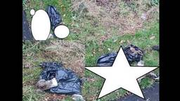 De vuilniszak met daarin de resten van meerdere konijnen werd gevonden langs het spoor in Oss (foto: Dieremambulance Brabant Noordoost).