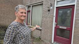 Dode vliegen in de vensterbank, onkruid in de voortuin en schimmel op de ramen