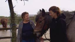 Dit paard hielp Sandra van het roken af: 'Hij kijkt voorbij de sigaret'