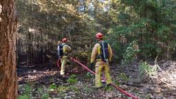 Bosbrand Starbrechtse Heide