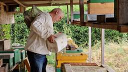 Honderden kilo's extra suiker om bijen te redden: 'Ander sterven ze'