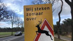 Het verkeer wordt door onder meer borden gewezen op de aanwezigheid van dieren (foto: Hans Janssen).