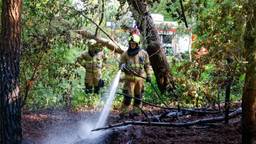 Weer natuurbrand, brandweer moet aan de slag in bosgebied in Zeeland