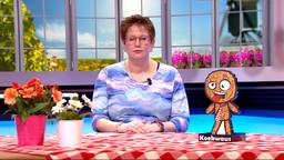 BrabantQuiz