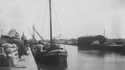 100 JAAR PIUSHAVEN