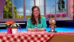 BrabantQuiz