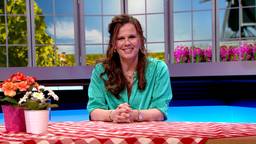 BrabantQuiz